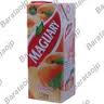 SUCO DE FRUTA MAGUARY